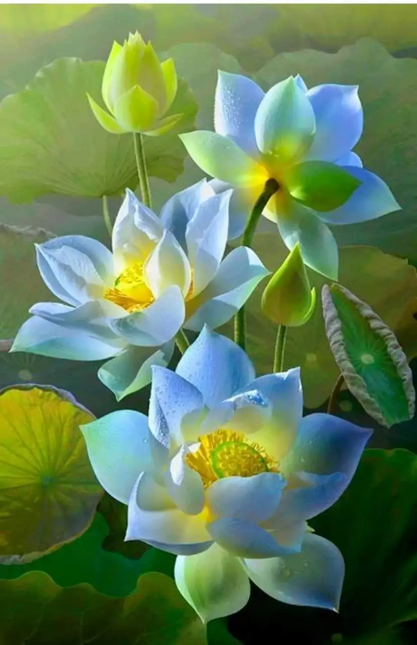 ĐỪNG BỎ LỠ SỰ CHÂN THÀNH