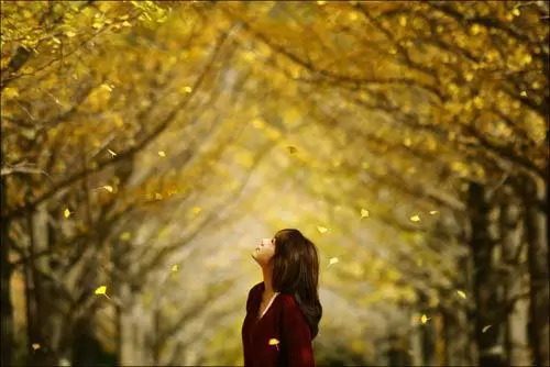 NỖI ĐAU ĐỌNG LẠI