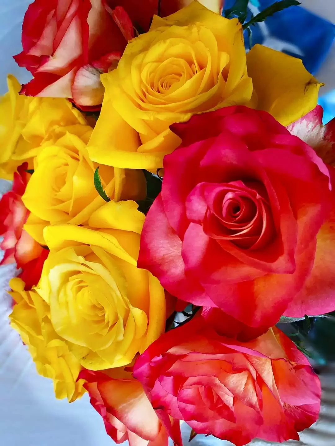 SAU GIÂY PHÚT NÀY, ĐỪNG BAO GIỜ NỮA GỌI TÊN EM…