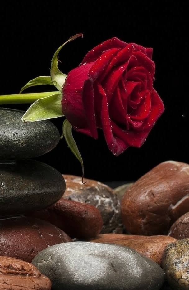 BIẾT ĐẾN BAO GIỜ