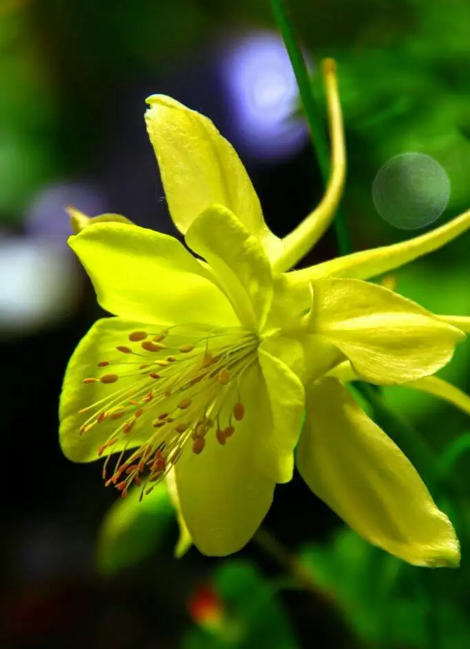 ĐỂ LÒNG THẤY BÌNH YÊN