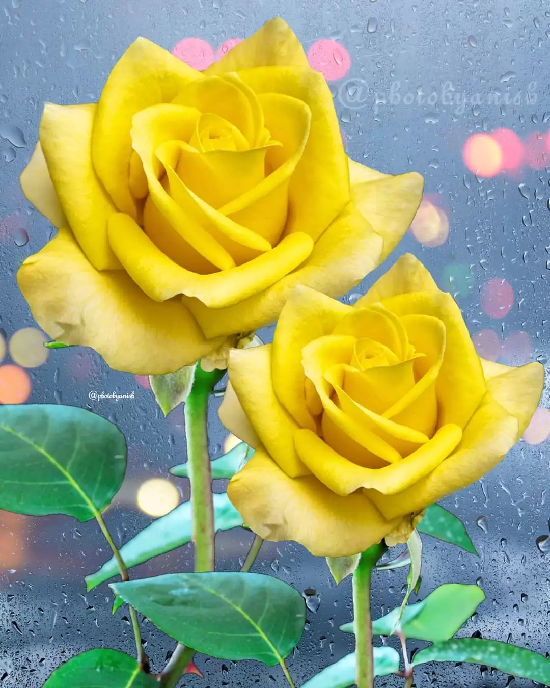 TA THẢN NHIÊN ĐỐI MẶT VỚI TÌNH ĐỜI