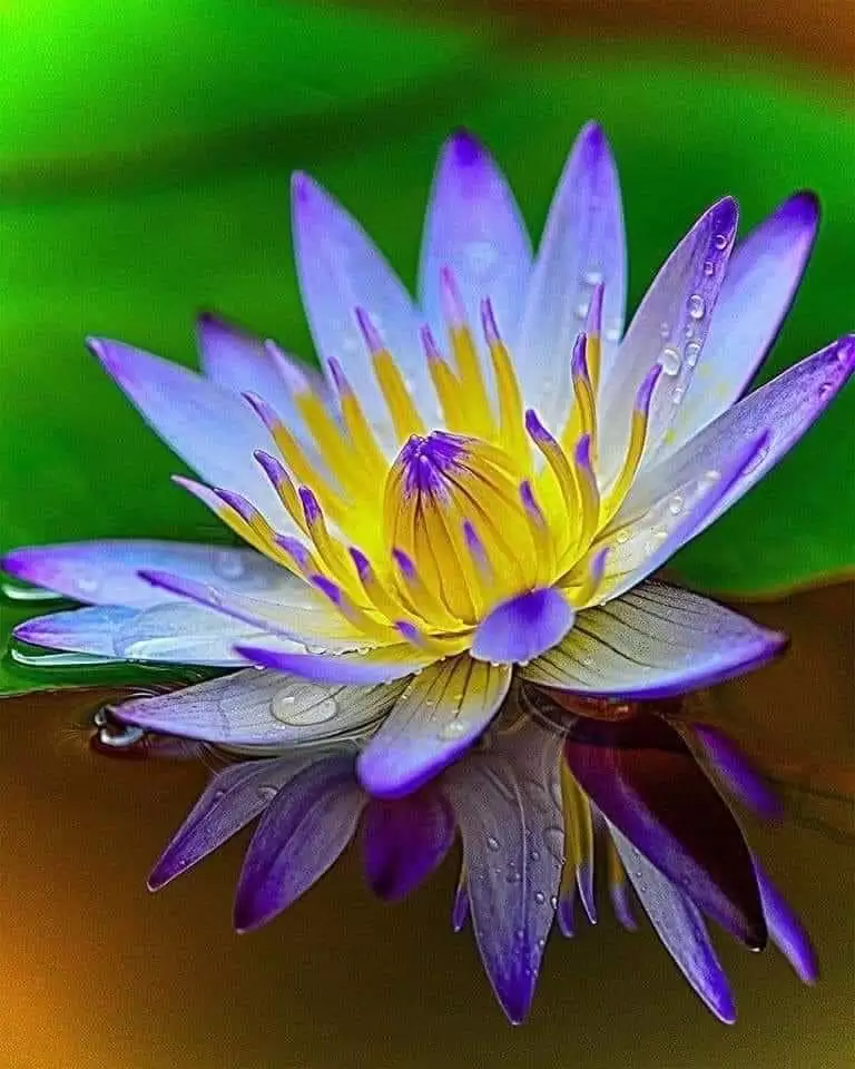 RỒI THÌ AI CŨNG RA ĐI