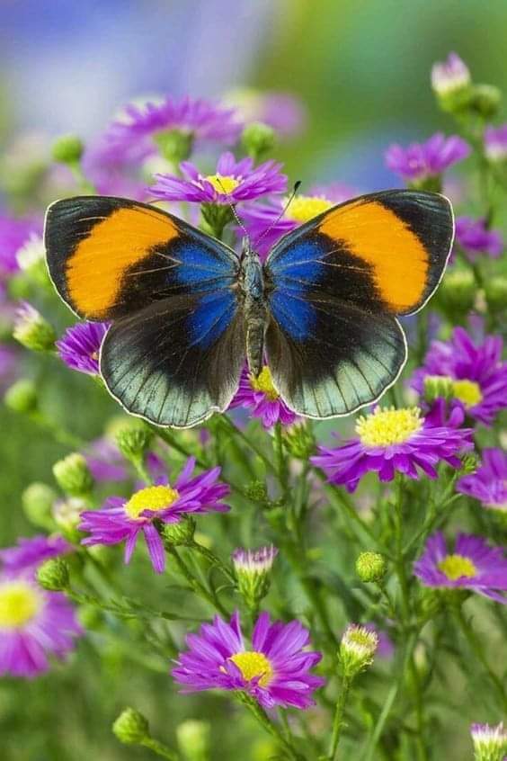 TA TRỞ VỀ THÀNH NGƯỜI LẠ CHƯA QUEN