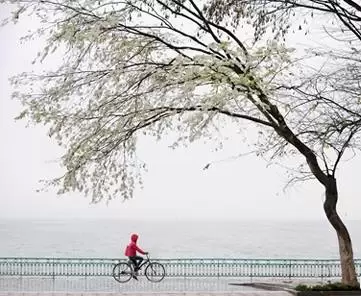 HÀ NỘI ĐÔNG VỀ