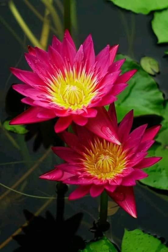 TRẢ LẠI BÌNH YÊN CHO ANH