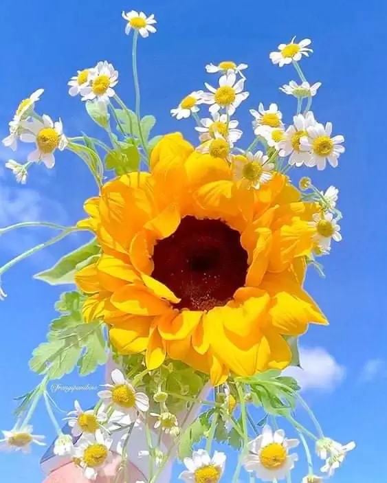 BÀI THƠ TÌNH DÀNH RIÊNG CHO ANH