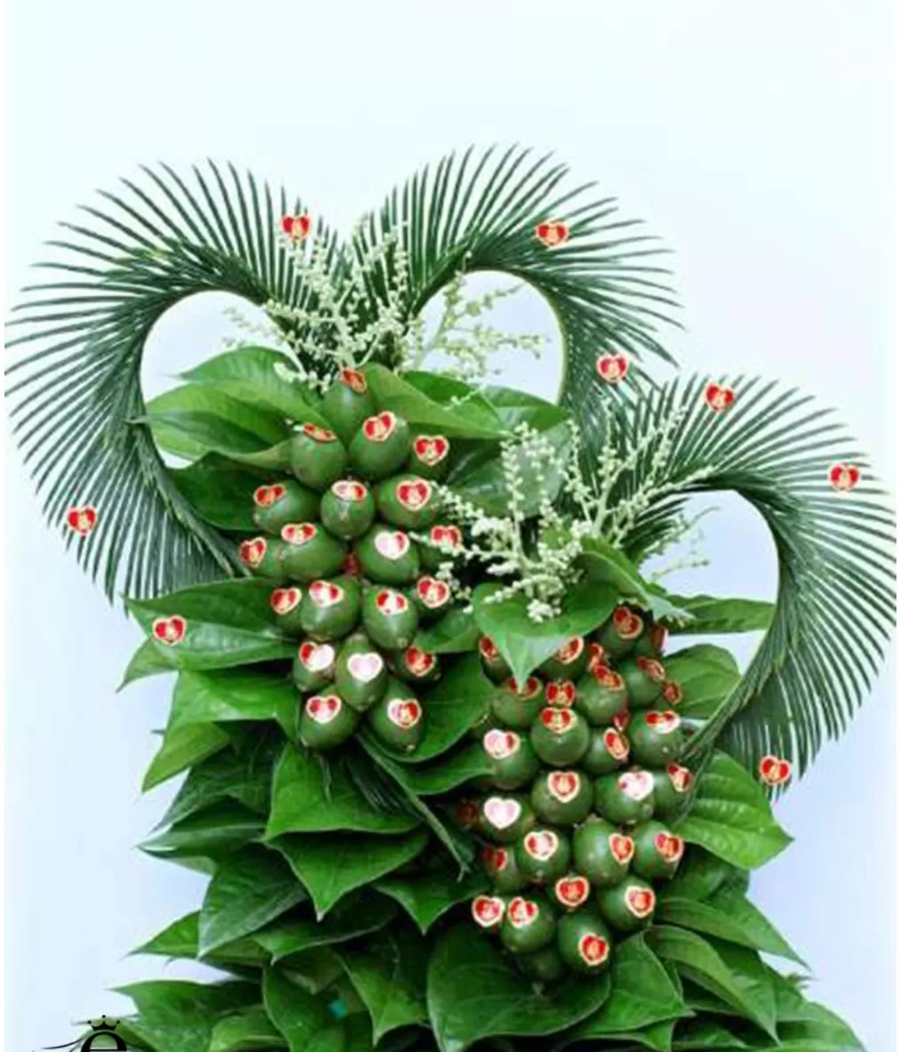 LỖI HẸN CAU TRẦU